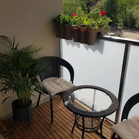 Daire Kwiat Lotosu Jelenia Gora