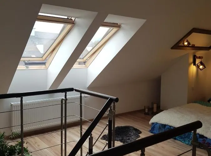 Daire Kwiat Lotosu *