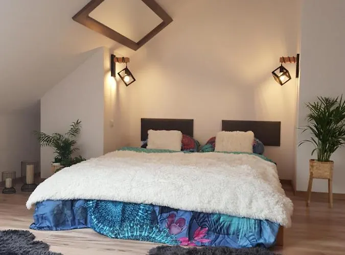 Kwiat Lotosu Jelenia Gora