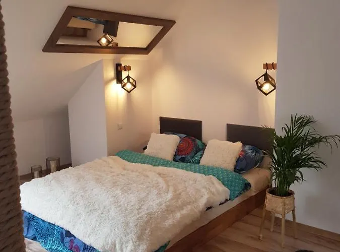 Kwiat Lotosu Daire Jelenia Gora