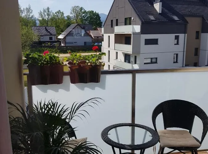 Kwiat Lotosu Jelenia Gora